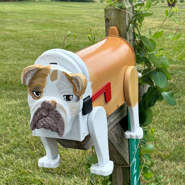 Bull dog mailbox