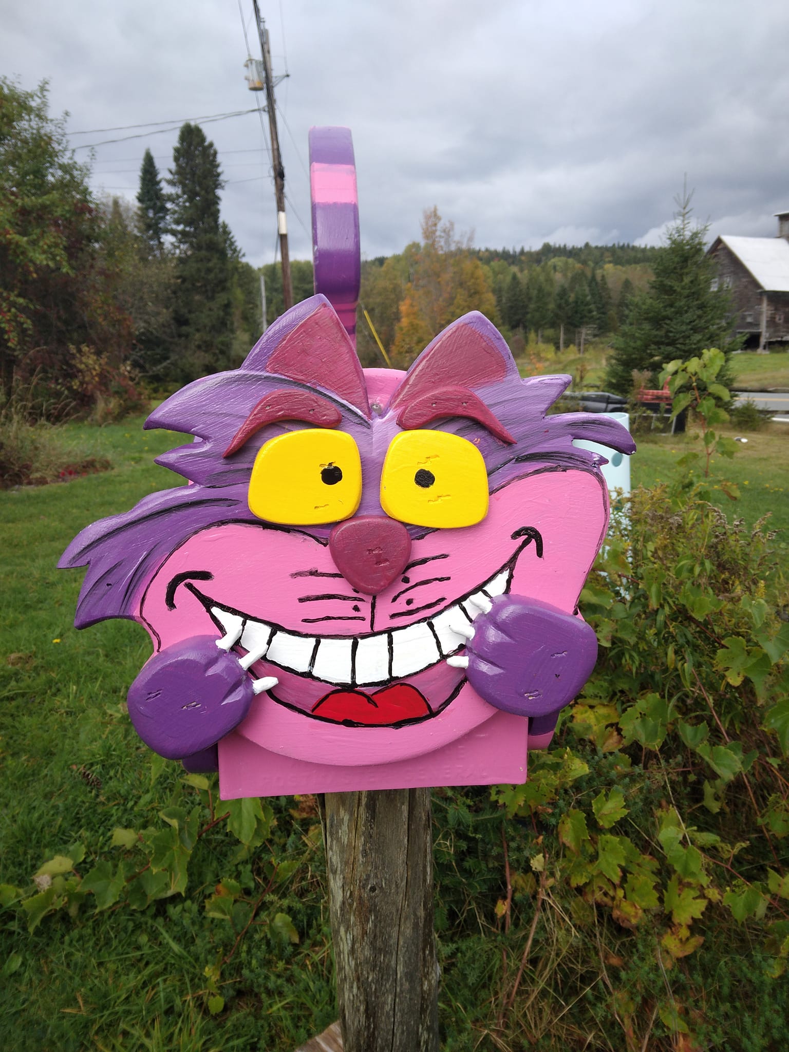 cheshire cat mailbox